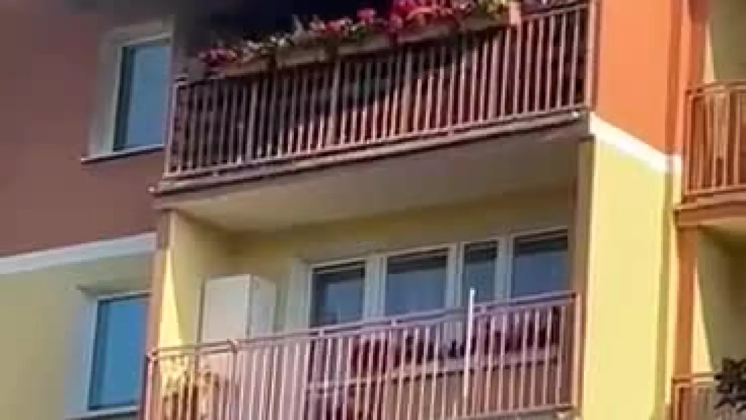 367686661-6401977673249325-3165296371926068309-n.mp4